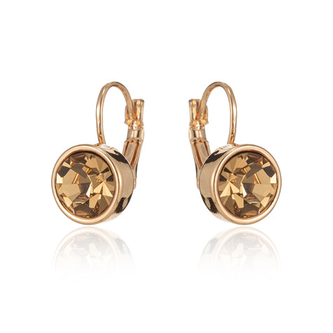 Ladies Fashion Earrings - E040196