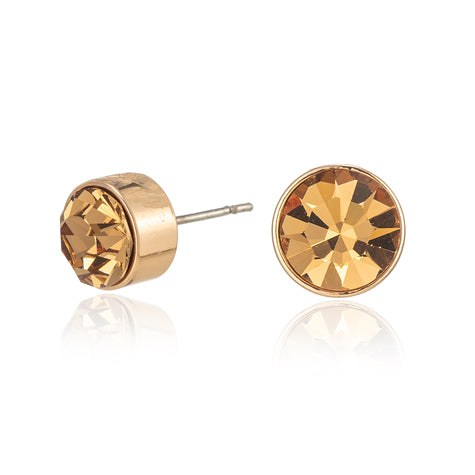 Ladies Fashion Earrings - E040198