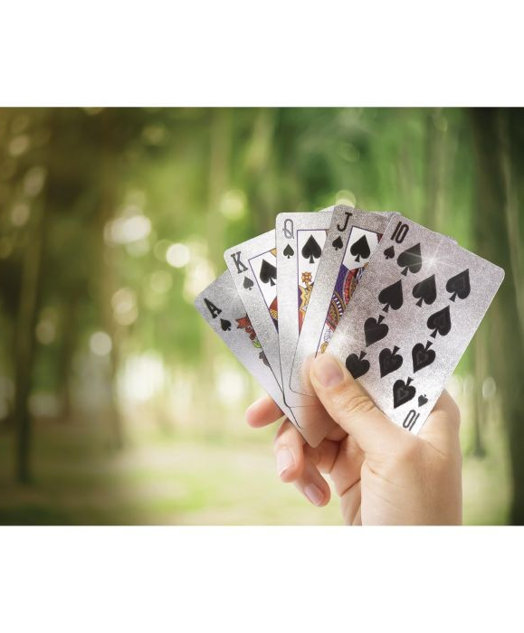 Maverick Waterproof Playing Cards